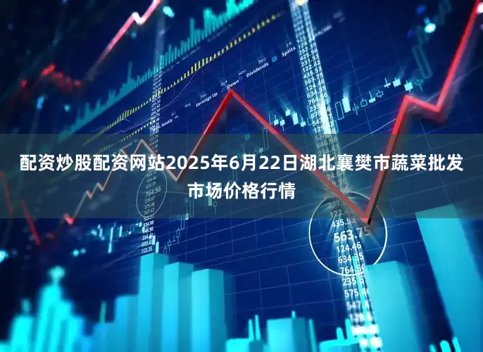 配资炒股配资网站2025年6月22日湖北襄樊市蔬菜批发市场价格行情