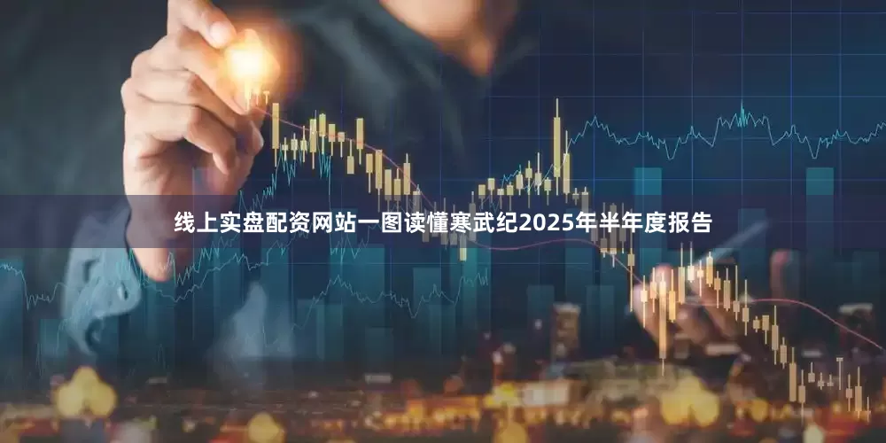 线上实盘配资网站一图读懂寒武纪2025年半年度报告
