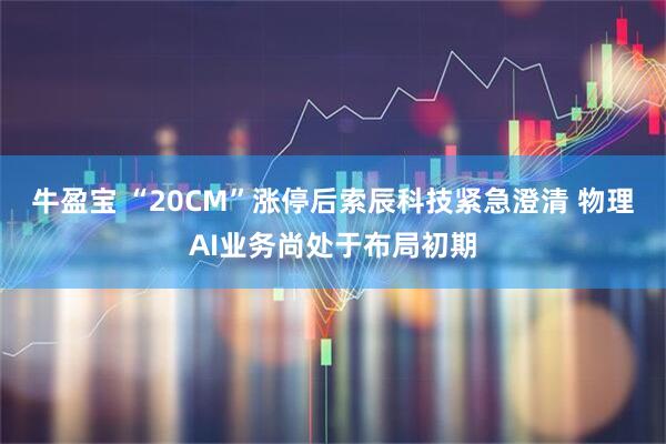 牛盈宝 “20CM”涨停后索辰科技紧急澄清 物理AI业务尚处于布局初期