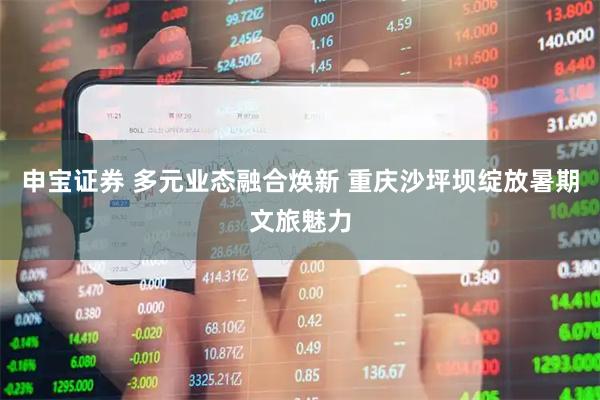 申宝证券 多元业态融合焕新 重庆沙坪坝绽放暑期文旅魅力